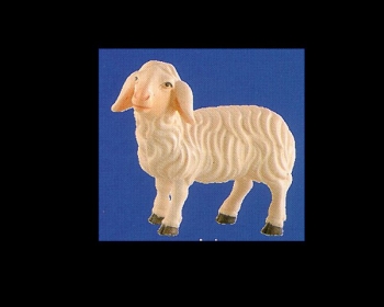 Schaf stehend zur ALRA-14 cm Figurengröße, NATUR Abb.nicht verf