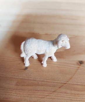 Lamm schauend