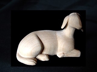 Abendrotkrippe: Schaf liegend, 12 cm, Ahorn-Natur