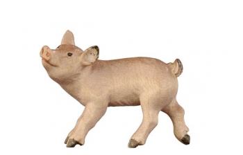  Ferkel stehend 