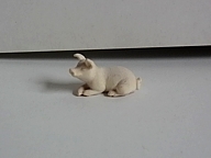 Ferkel liegend