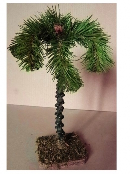 Kokospalme, ca. 18 cm hoch