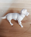 Hund