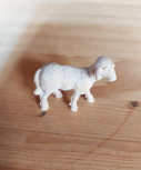 Lamm schauend