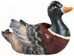 Ente schwimmend/sitzend, color